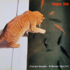 Limited Edition Sensitive Rooms - 2007 - Angry fish - Bernard Gast